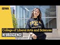 Neuroscience at iowa