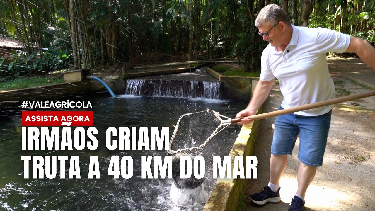 🐟Truta a 40 km da praia? Esses irmãos provaram que é possível