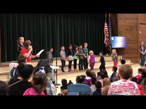 Rolling Meadows Elementary School kindergarten & 1st grade blink day