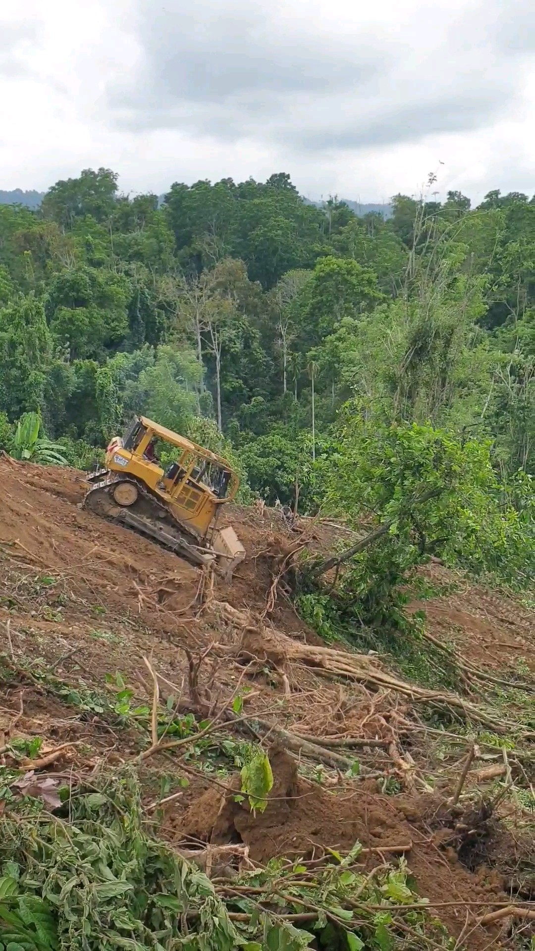 Differential Steering | Cat® D6R through D9R Dozer Steering System