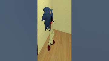 Escape Sonic the Hedgehog  exe