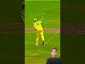 top runout in cricket history#cricket#shorts#cricketvideos#cricketshorts#cricketshotsvideos#videos