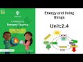 Energy Flow in Ecosystems and the Importance of Food Chains