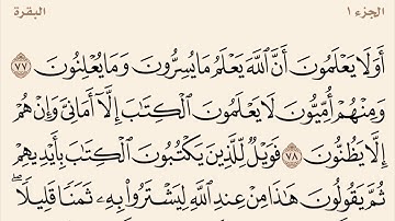 سورة البقرة مكررة من آية 77 إلى 83 القارئ وديع اليمني
