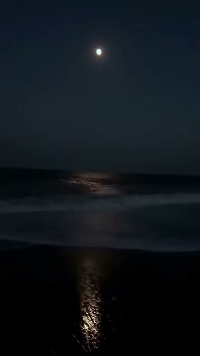 STORY WA MALAM HARI DI PANTAI