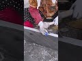 Alat sederhana untuk membelah batu dengan mudah dan praktis #shorts