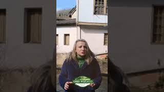 Venta de casona asturiana en Villoria, concejo de Laviana, Asturias