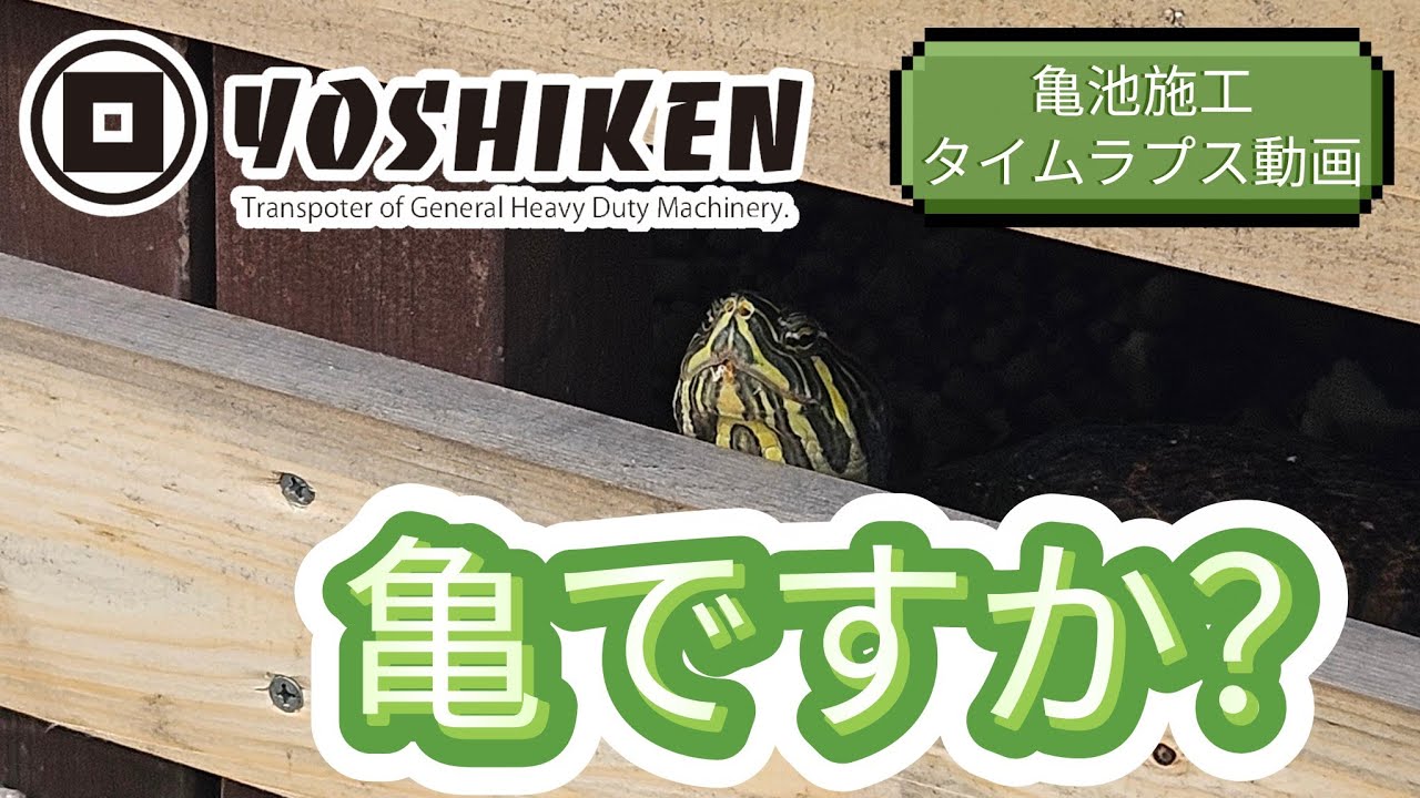 亀ですか？ ～タイムラプス動画〜 - YouTube