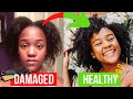 5 Heat Damage Recovery Tips for Natural Hair