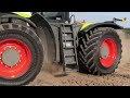Wild Claas in the Field