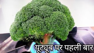 ब्रोकली की ऐसी रेसिपी जो आपने कभी नहीं खाई होगी/Fusion broccoli/EF/