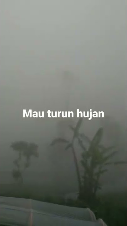Purbalingga kabut di puncak pratin kebun stawbery purbalingga
