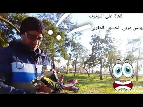 هذي هيا سر فر عيط جبد