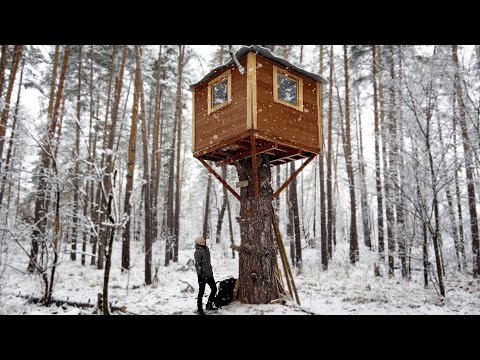 Видео: НАШЕЛ ДОМ на ДЕРЕВЕ | ЗАНОЧЕВАЛ и СПРЯТАЛСЯ от МОРОЗА | 24 часа в лесу