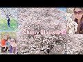 TRAVEL VLOG JAPAN /SAKURA JAPAN 2022 🇵🇭🇯🇵 japan cherry blossom 2022