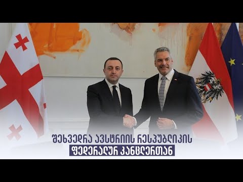 შეხვედრა ავსტრიის რესპუბლიკის ფედერალურ კანცლერთან