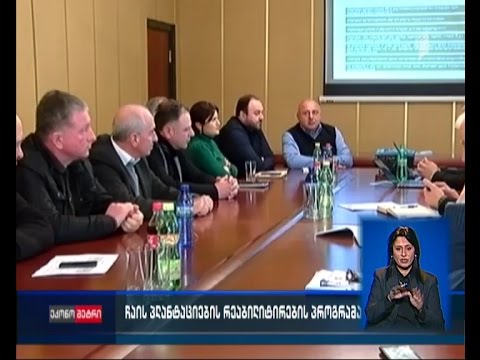 ჩაის პლანტაციების რეაბილიტირების პროგრამა