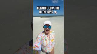 love a good negative low tide walk 🐚 #paddleboarding #eagleray #floridakeys