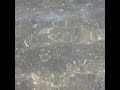 جمال وروعه زرقه مياه البحر جمال وروعه زرقه مياه البحر