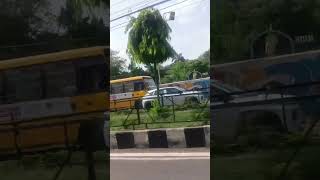 #viralvideo