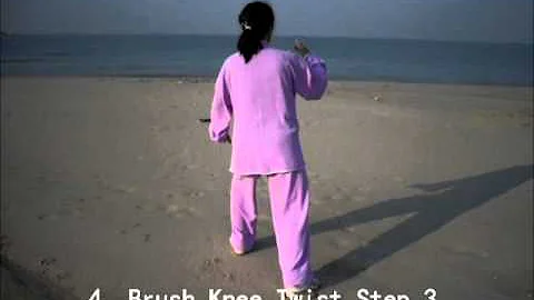 Taichi For Osteoporosis (TCO) backview.wmv