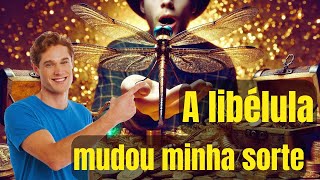 Significado Da Liblula Na Espiritualidade  A Liblula Mudou Minha Sorte