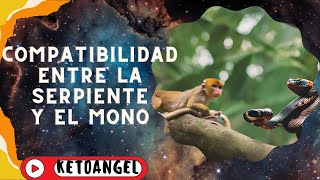 Famous Can the Snake and the Monkey Find Harmony? Discover Their Compatibility Profile