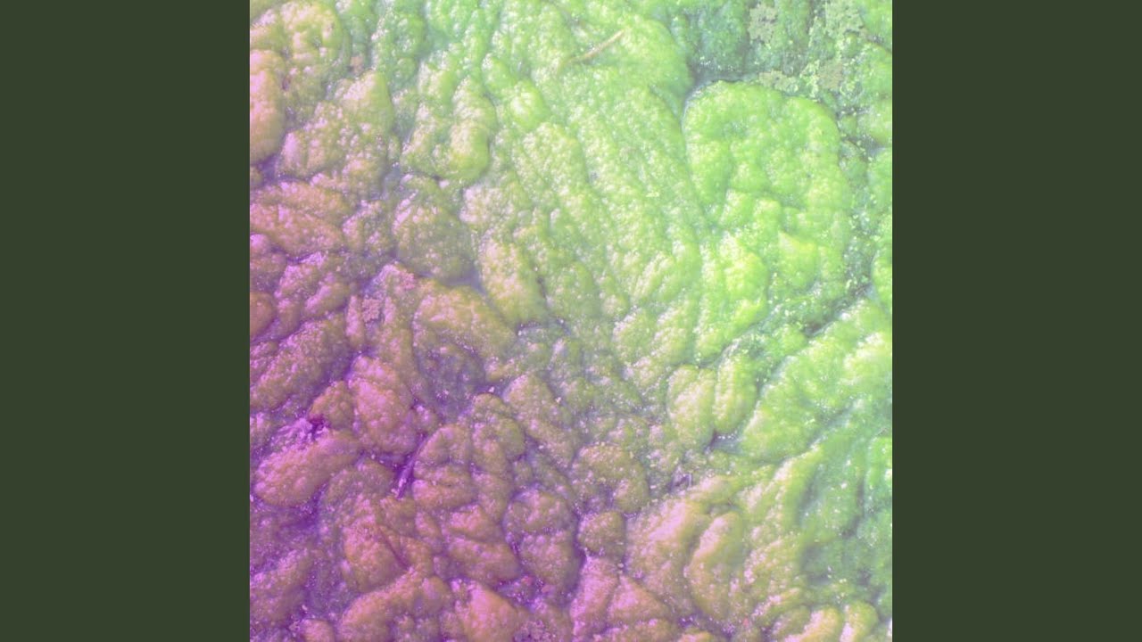 Guarda everyday content su YouTube Guarda everyday content su YouTube