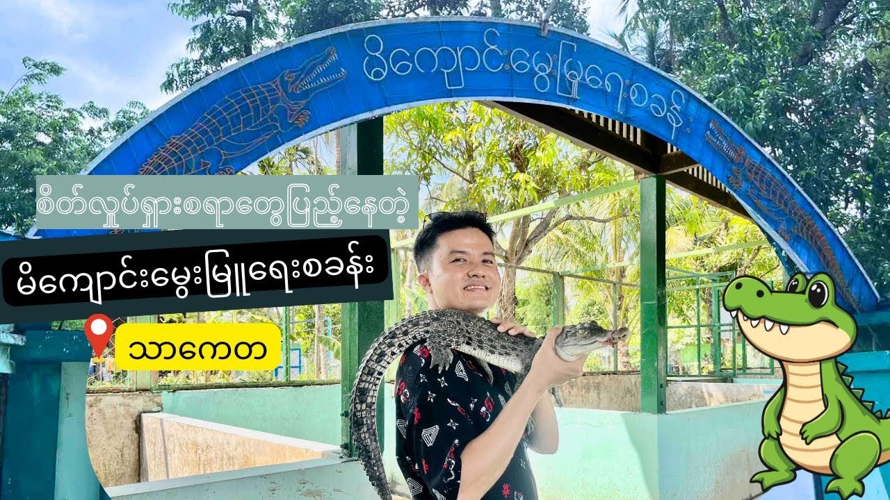 စိတ်လှုပ်ရှားစရာကောင်းတဲ့ သာကေတ မိကျောင်းမွေးမြူရေးစခန်း | A closer view of crocodiles
