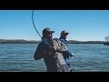 Fishing for the Tennessee State Record Bass!