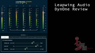 Leapwing Audio Dynone Review