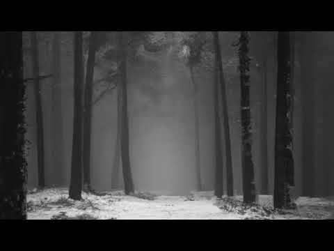 Dreamscape Slowed Reverb 