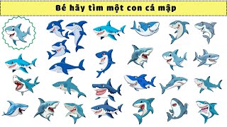 Tìm Hình Theo Yêu Cầu | Sinh Vật Dưới Biển |Nguyễn Thị Lan Anh