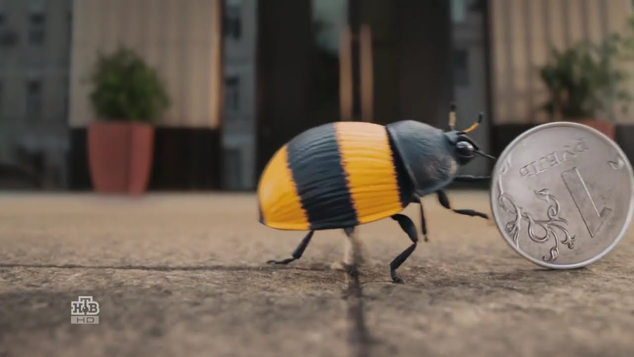 Реклама Билайн - Хитрый жук