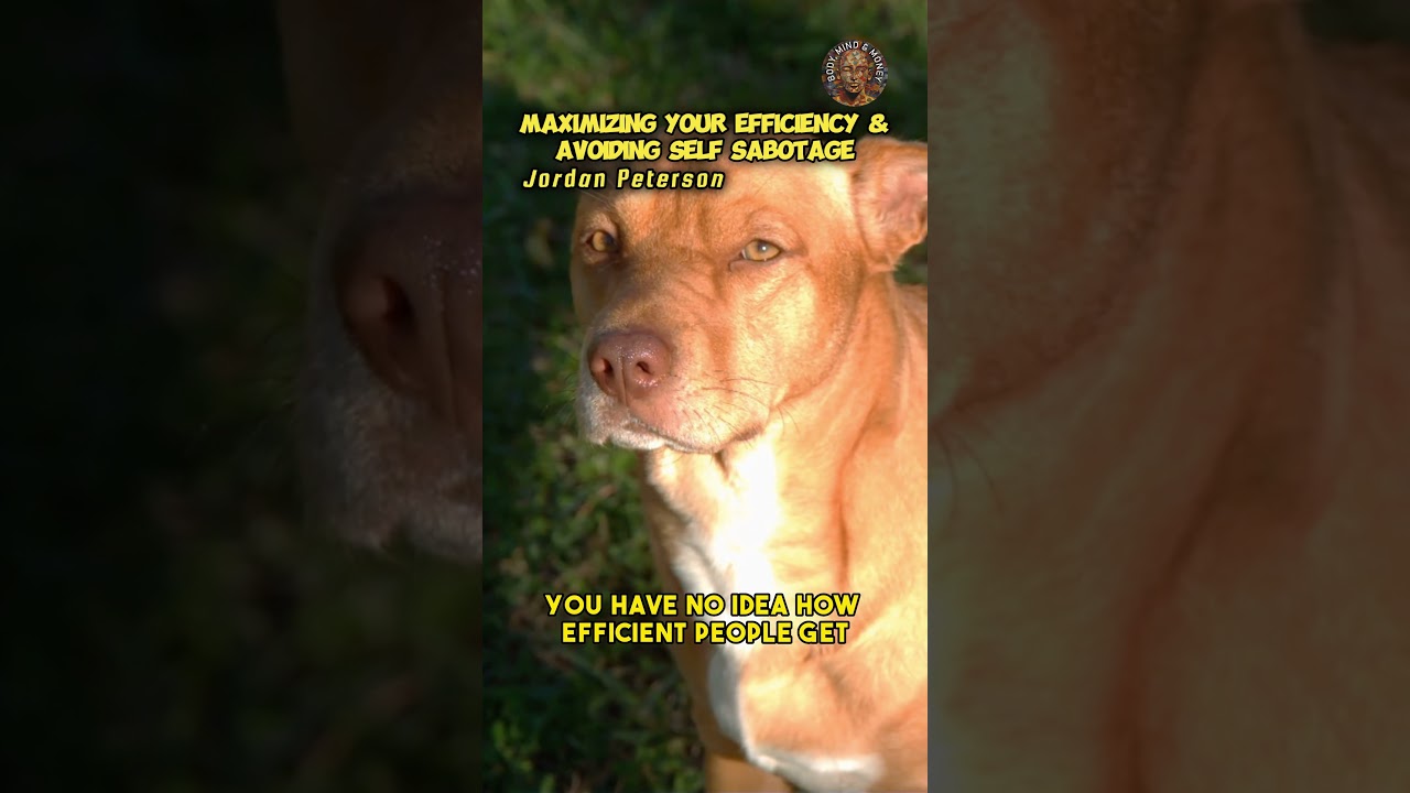 Efficiency Hacks: Jordan Peterson's Guide to Avoiding Self-Sabotage 