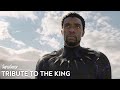 Chadwick Boseman: Tribute to the King