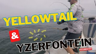 YELLOWTAIL | Yzerfontein | Dassen Island