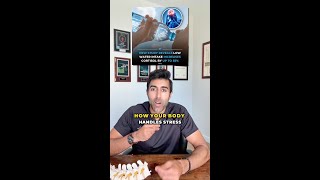 How Water Intake Affects Stress