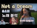 과연 이 노래는 무엇일까?
