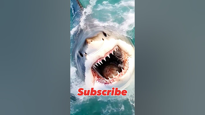 KEJAM ? APA IYA HIU MAKAN MANUSIA ● Kids BOBOCA #shortvideo #feedshorts #animals #edit #satisfying