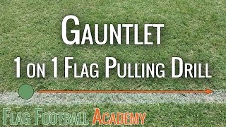 ed reed texans jersey