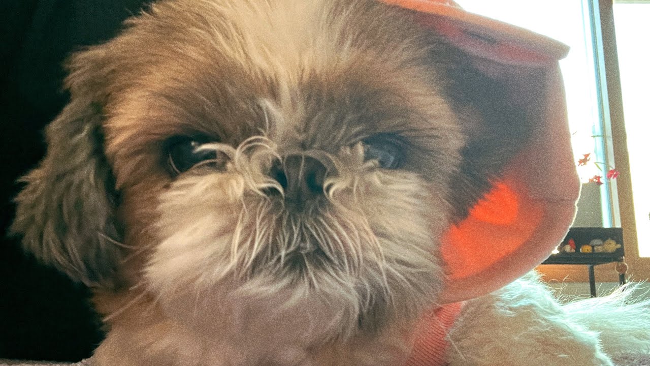 여행다녀온 누나들이 반갑다