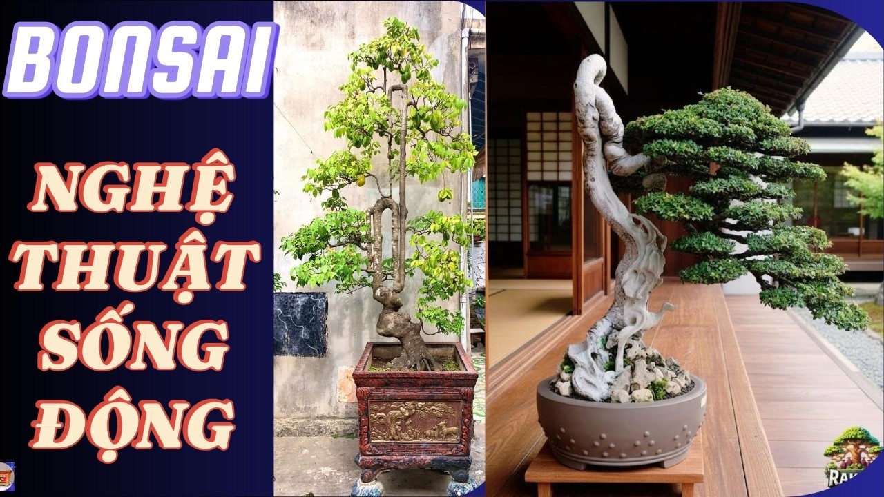 Bonsai: Kết Hợp Hình Dáng, Thần Thái Và Ý Cảnh Nghệ Thuật”#bonsai đẹp#caycanh #nghethuatbonsai
