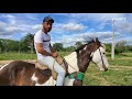 Ygor ensinando a domar cavalos de vaquejada