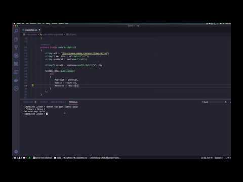 URL String Split mit C#