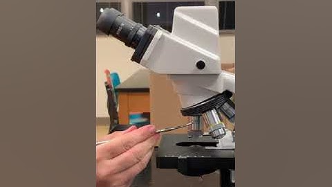 Total Magnification of Microscope