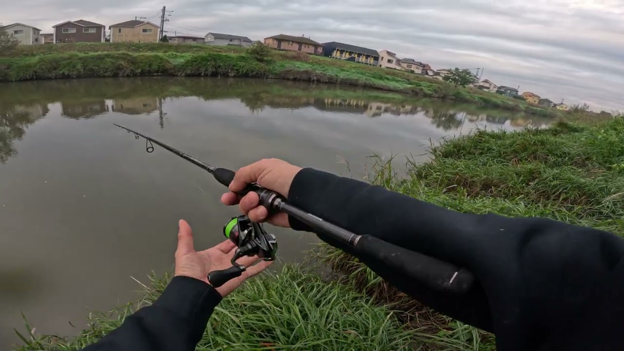 Bass Fishing Live Streaming Highlight in Japanese River Japan lake Shimano Vanford 2500 megabass OSP