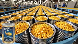 Amazing Corn Juice Factory Process Step-By-Step Production