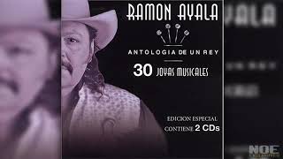 Un puño de tierra / Ramón Ayala