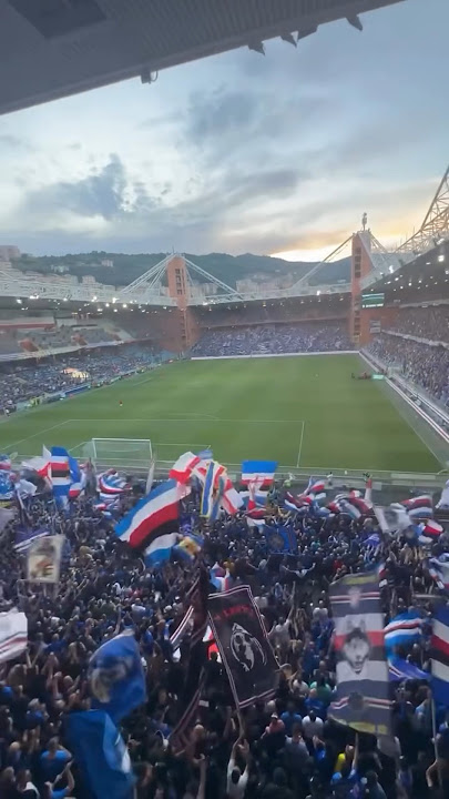 Ti amo alla follia. 🔵⚪️🔴⚫️⚪️🔵 #sampdoria #calcio #ultras #playout #tifosi